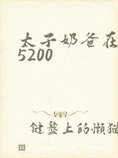 太子奶爸在花都5200