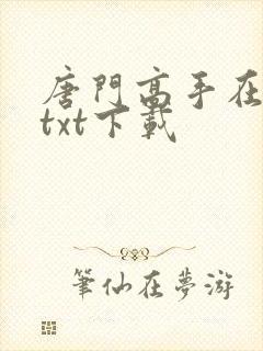 唐门高手在异世txt下载