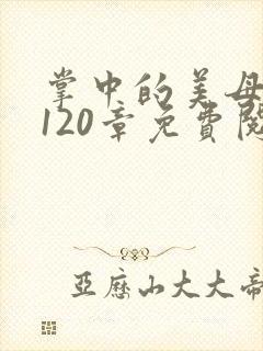 掌中的美母版主120章免费阅读
