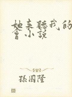 她来听我的演唱会小说