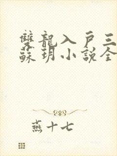 双龙入户三人行苏玥小说全文阅读