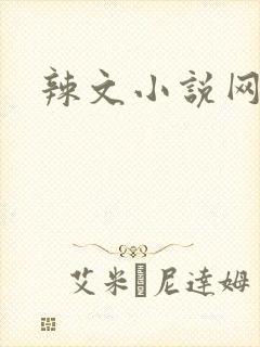 辣文小说网