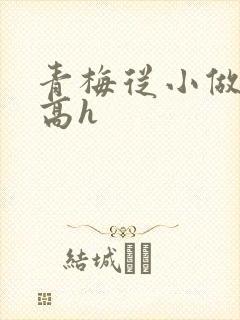 青梅从小做到大高h
