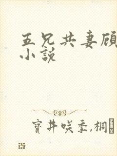 五兄共妻顾心儿小说