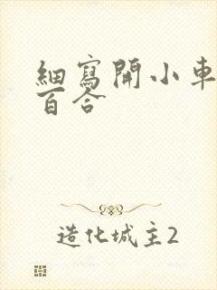 细写开小车车的百合