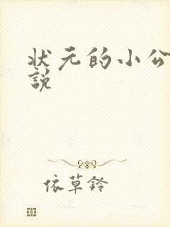 状元的小公主小说