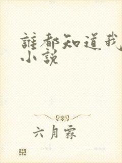 谁都知道我爱你小说