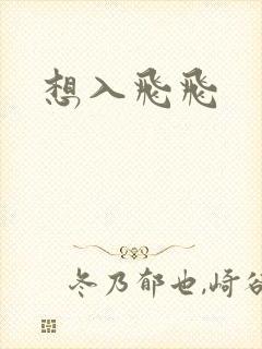 想入飞飞