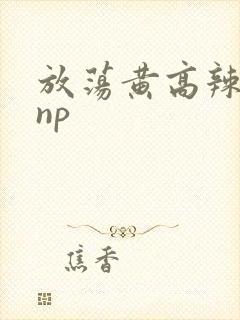 放荡黄高辣h文np