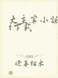 大主宰小说txt下载