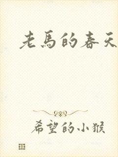 老马的春天