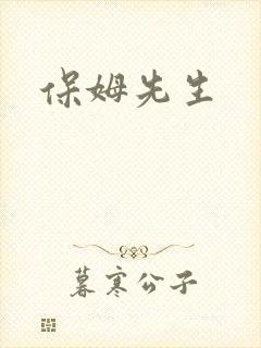 保姆先生
