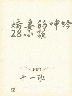 娇妻的呻吟1—28小说