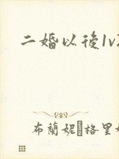 二婚以后1v2