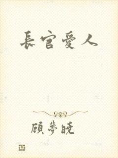 长官爱人