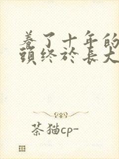 养了十年的小丫头终于长大了