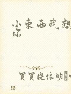 小东西我想弄坏你