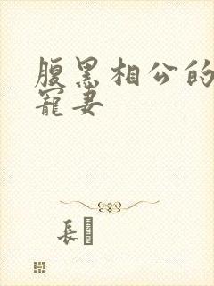 腹黑相公的庶女宠妻