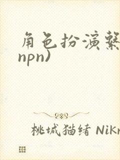 角色扮演系统(npn)