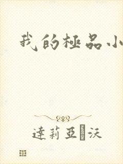 我的极品小姨