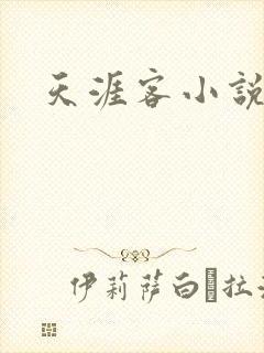 天涯客小说
