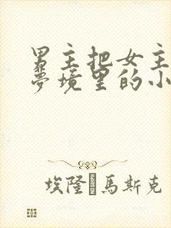 男主把女主拖进梦境里的小说