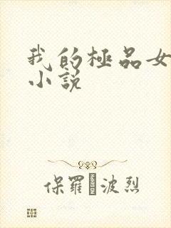 我的极品女老师小说