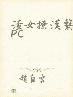 渣女撩汉系统NPC