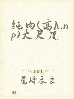 纯肉(高h.np)大尺度