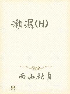 潮湿(H)