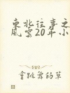 东北往事之黑道风云20年小说