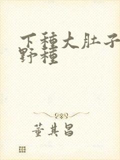 下种大肚子怀孕野种