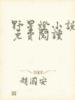 野星灯小说全文免费阅读