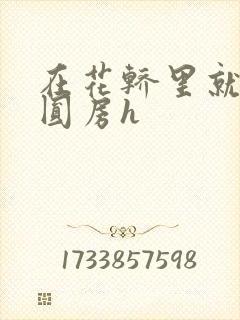 在花轿里就开始圆房h