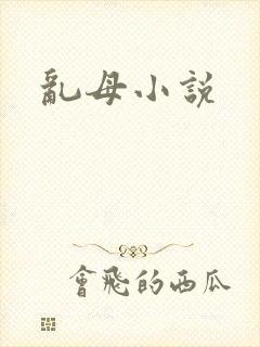 乱母小说