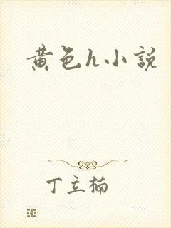 黄色h小说