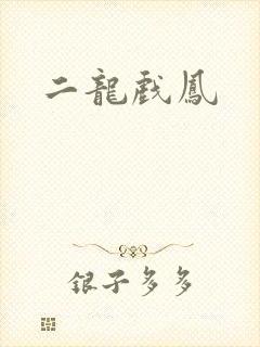 二龙戏凤