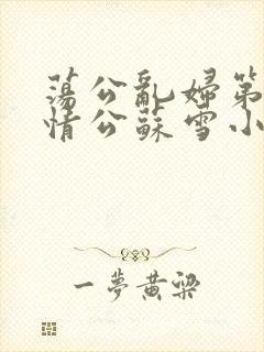 荡公乱妇第1章情公苏雪小说