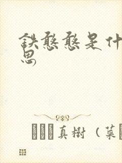 铁憨憨是什么意思