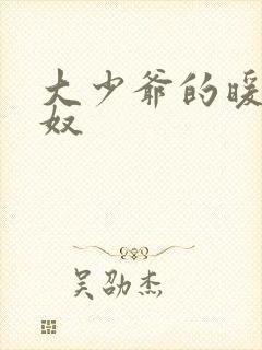 大少爷的暖床小奴