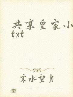 共享皇家小公主txt
