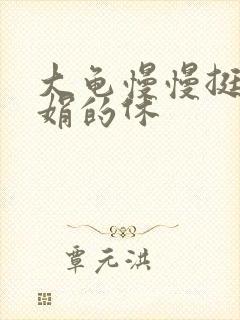 大龟慢慢挺进张娟的休