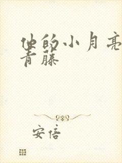 他的小月亮by青藤