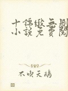 十锦缎无删原著小说免费阅读