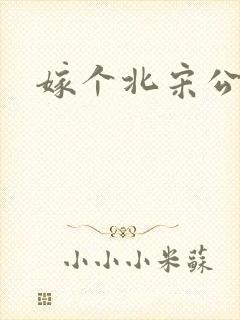 嫁个北宋公务员