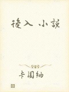 后入 小说