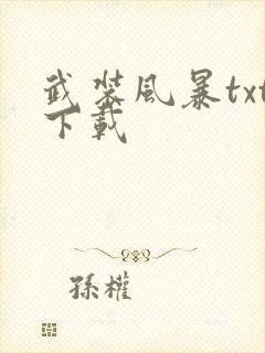 武装风暴txt下载