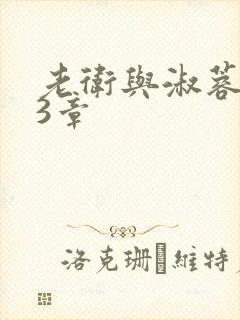 老卫与淑蓉第13章