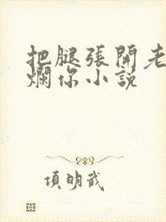 把腿张开老子臊烂你小说