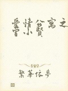 爱情公寓之极品曾小贤